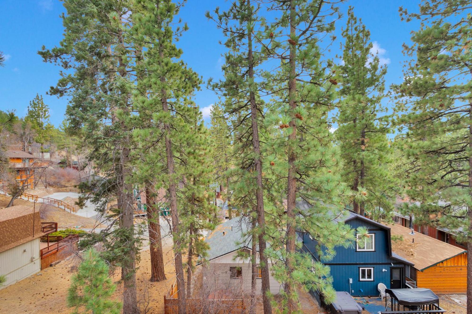 Cozy Crescent Tree Cabin Near Bear Mountain Big Bear Lake Eksteriør billede